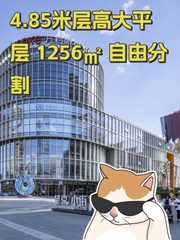 4.85米层高大平层 1256㎡ 自由分割 - 缩略图 1