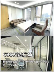 大望路万达现房216平 双地铁 带全套家具 - 缩略图 1