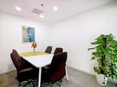 CBD万达广场 223㎡ 精装修 4个隔断 - 缩略图 6