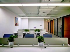 CBD万达广场 223㎡ 精装修 4个隔断 - 缩略图 12