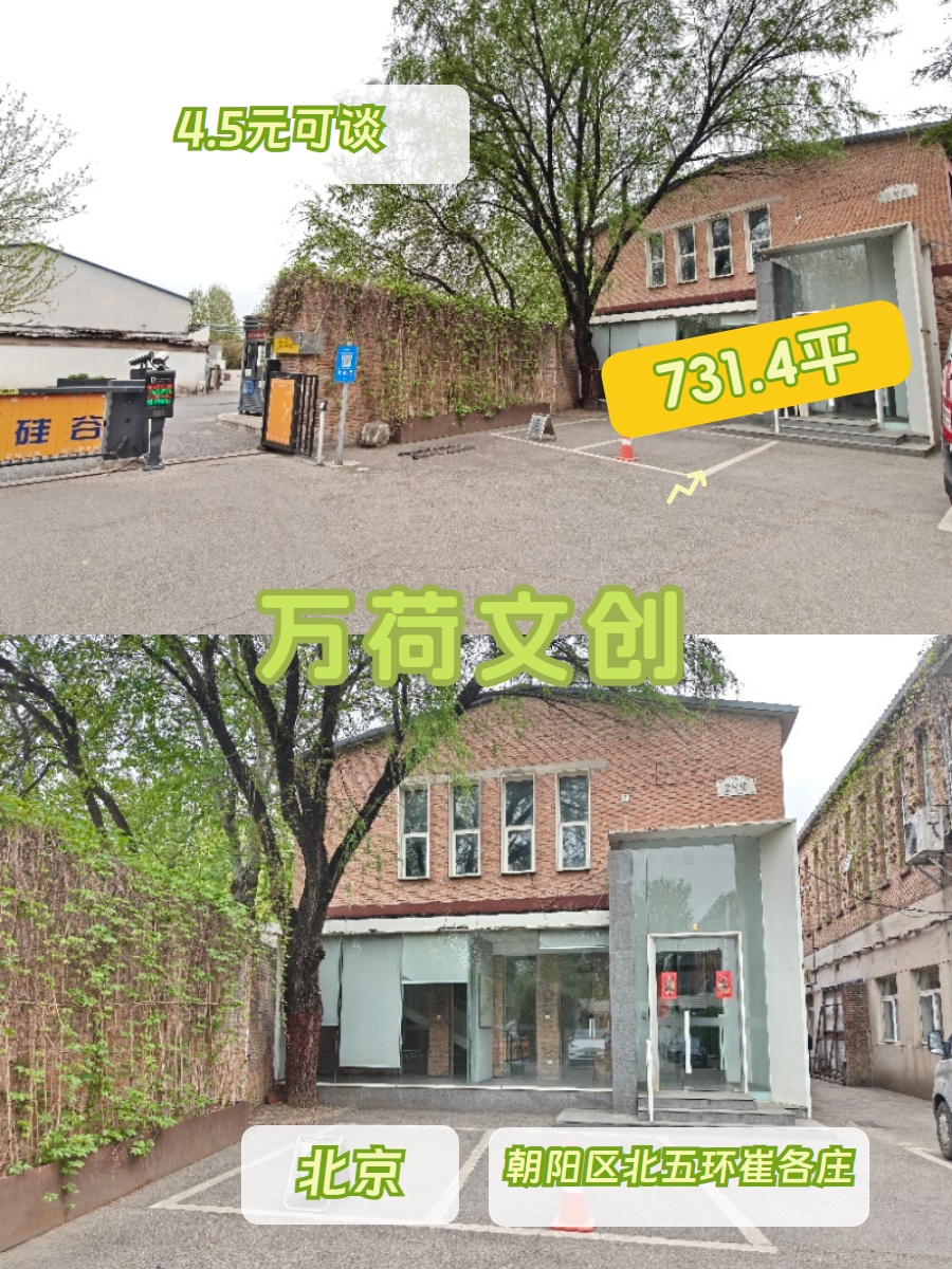 731平独栋临院，价格可谈高挑空