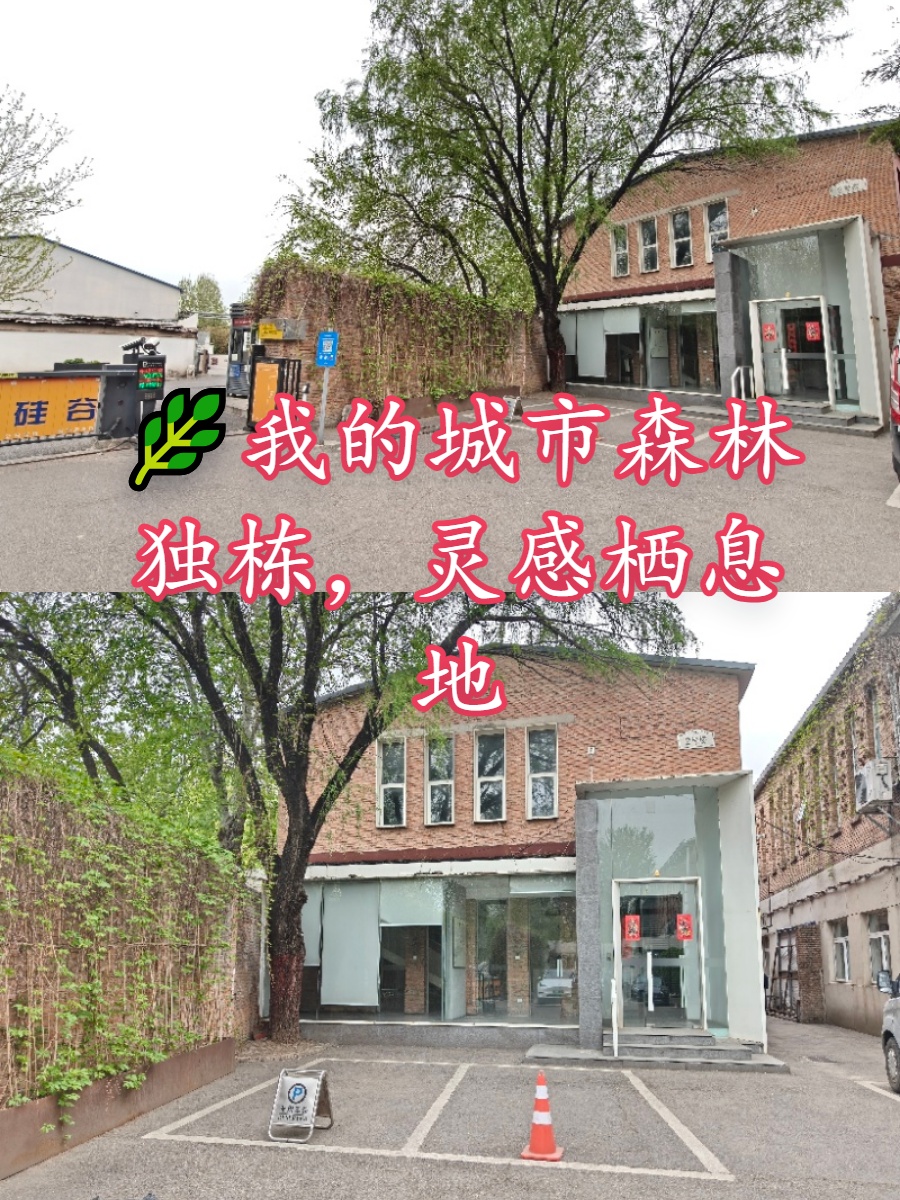 🌿我的城市森林独栋，灵感栖息地