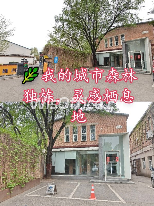 🌿我的城市森林独栋，灵感栖息地 - 首图