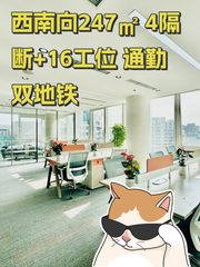 西南向247㎡ 4隔断+16工位 通勤双地铁 - 缩略图 1