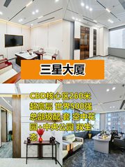 三星大厦329平米西北向精装带家具 - 缩略图 1