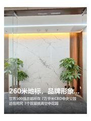 260米地标，品牌形象瞬间升级 - 缩略图 1