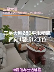 三星大厦286平米精装 西向4隔断12工位 - 缩略图 1