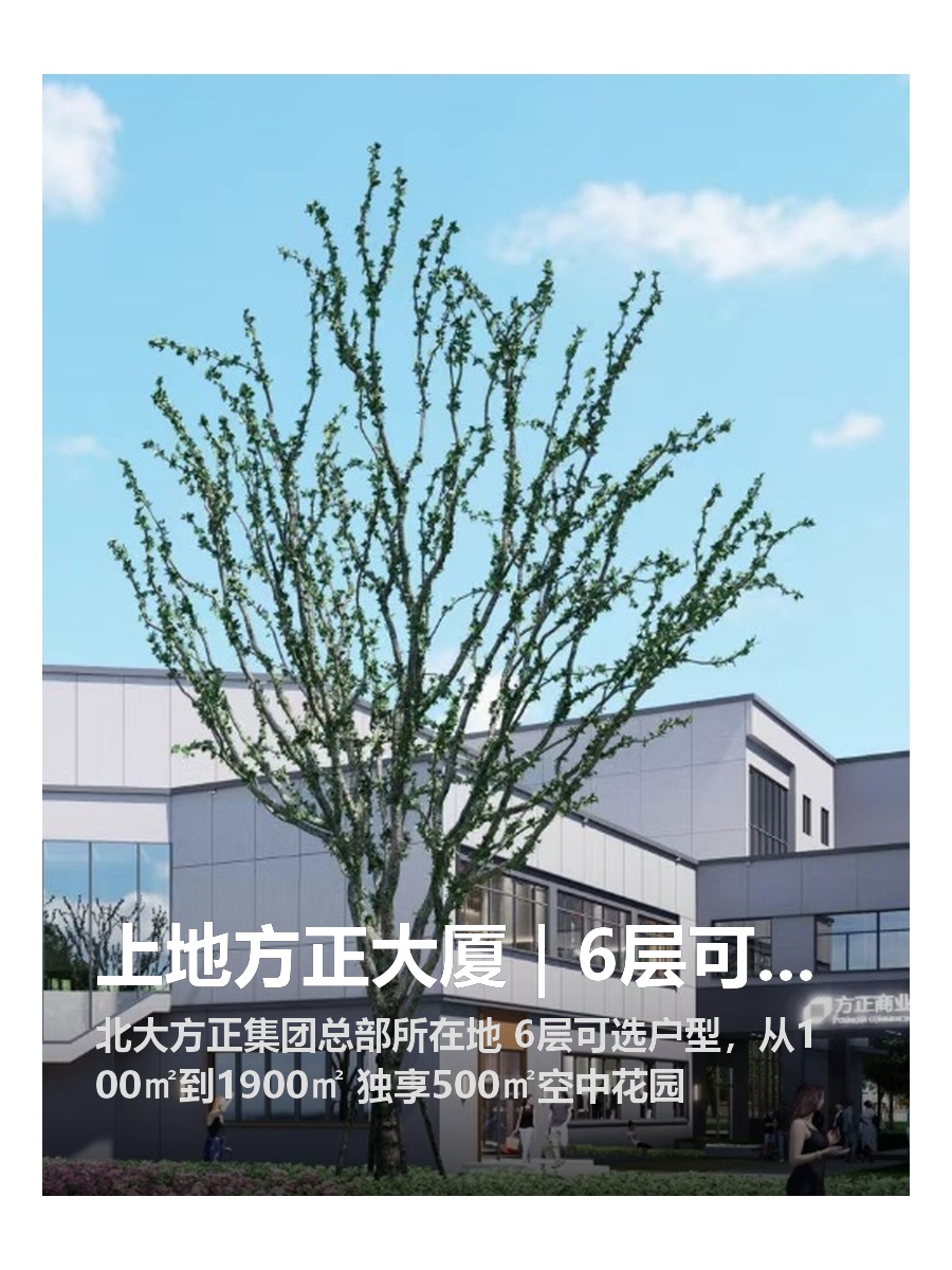 上地方正大厦｜6层可选｜独享空中花园
