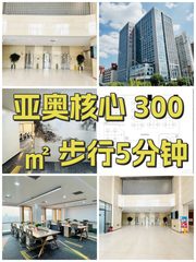 亚奥核心 300㎡ 步行5分钟 - 缩略图 1