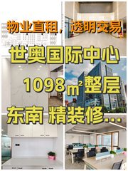 世奥国际中心 1098㎡整层东南 精装修13间 - 缩略图 1