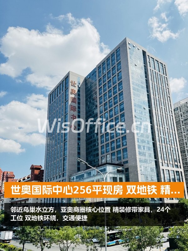 世奥国际中心256平现房 双地铁 精装修 - 首图