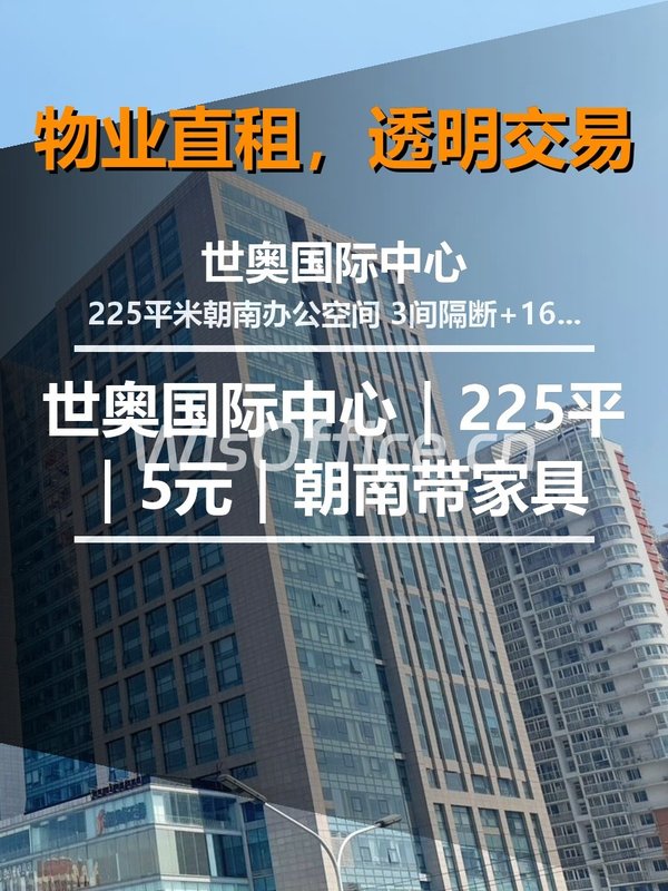 真房｜世奥国际中心｜225平｜5元｜朝南带家具 - 首图