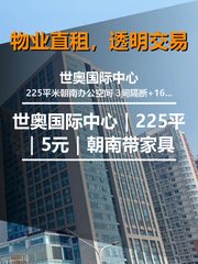 真房｜世奥国际中心｜225平｜5元｜朝南带家具 - 缩略图 1