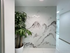 亚奥商圈现房 世奥国际中心 双地铁带配套 - 缩略图 4