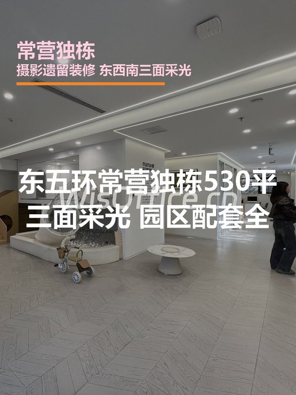 常营独栋530㎡实景图