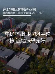东亿产业园4784平整栋 近地铁采光好 - 缩略图 1
