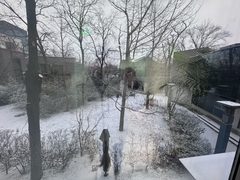 东亿产业园357平独栋东朝南遗留装修 - 缩略图 11