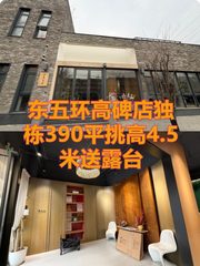 高碑店独栋390平挑高4.5米送露台 - 缩略图 1