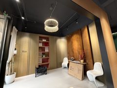 东店国际独栋 4.5米挑高 带露台 - 缩略图 3