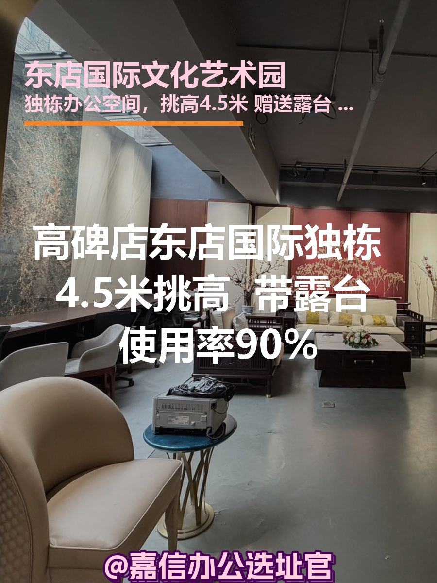东店国际独栋 4.5米挑高 带露台