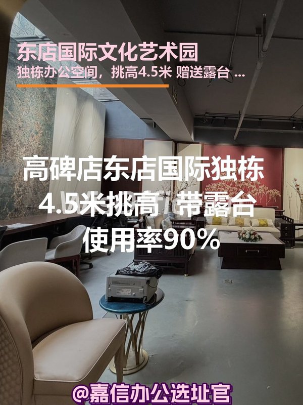 东店国际独栋 4.5米挑高 带露台 - 首图