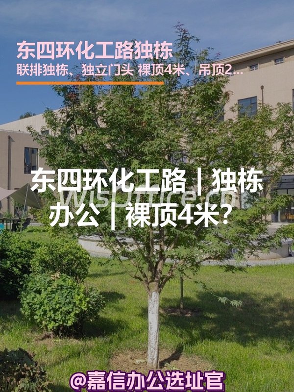 东四环化工路 | 独栋办公 | 裸顶4米？ - 首图
