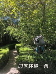 230平独栋院落，高挑空价格可聊 - 缩略图 8