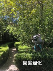 东四环百子湾230平独栋 独立院落 - 缩略图 2