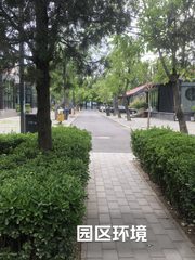 东四环百子湾230平独栋 独立院落 - 缩略图 3