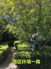 东四环百子湾230平 独栋办公 本月底前签约 - 缩略图 2