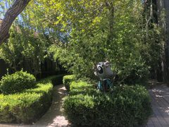 百子湾独栋230㎡ 高挑空采光好 - 缩略图 10