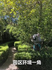 百子湾独栋230平 高挑空 独立院落 - 缩略图 2