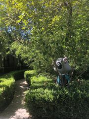 230平独栋院落，价格可谈采光好 - 缩略图 5