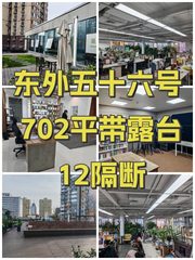 东外五十六号 702平带露台 12隔断 - 缩略图 1