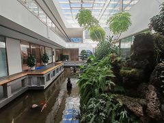 🌿窗边一束光，我的创意天地 - 缩略图 9