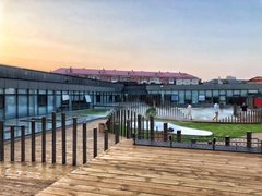 🌿窗边一束光，我的创意天地 - 缩略图 11