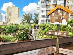 🌿窗边一束光，我的创意天地 - 缩略图 12