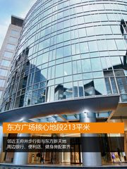 东方广场核心地段213平米 - 缩略图 1