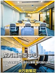 CBD现房 东方梅地亚 217㎡全新装修 全齐家具 - 缩略图 1