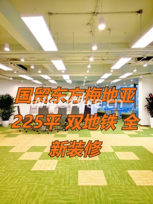 CBD现房 东方梅地亚225平 双地铁 全新装修 - 首图