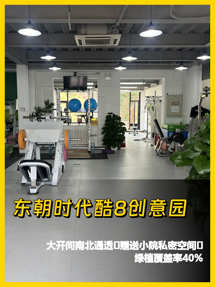 东朝时代创意园 300平南北通透带小院