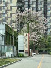 东朝时代创意园2243平三层独栋带院 - 缩略图 4