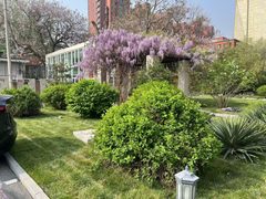 东朝时代671平独栋带露台 - 缩略图 9