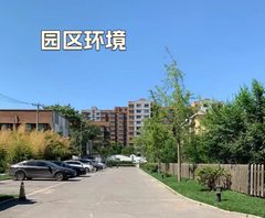900平带院独栋，价格可刀有露台 - 缩略图 4