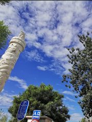 今天被东村文化创意园圈粉了！ - 缩略图 1