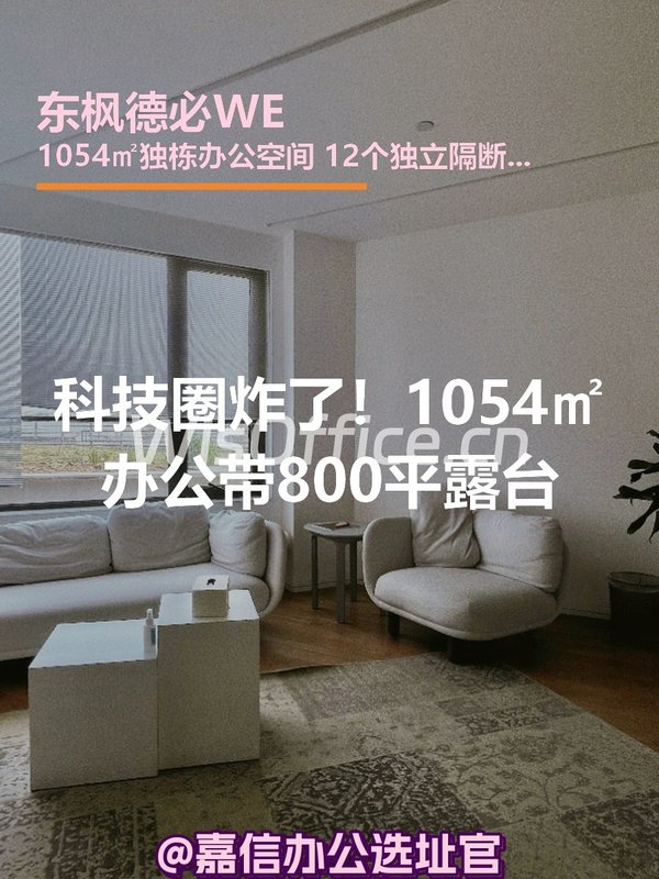 科技圈炸了！1054㎡独栋办公带花园 - 首图