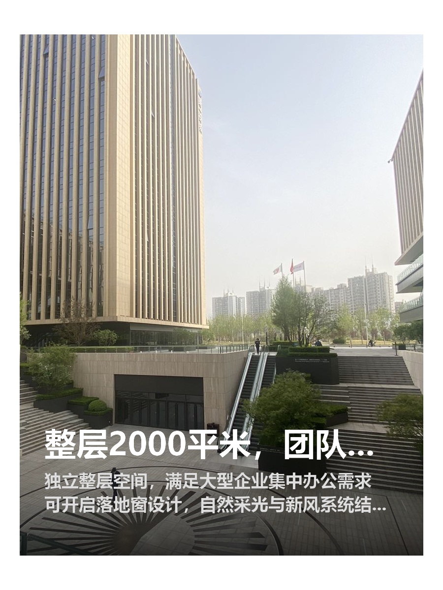 整层2000平米，团队协作效率拉满