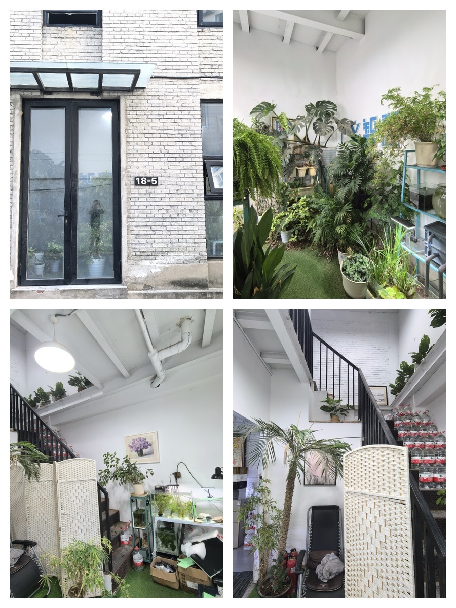 艺术圈炸了！独栋小院办公空间采光无敌