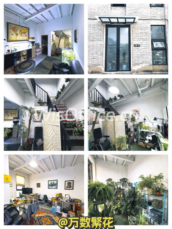 酒仙桥现房独栋 198平 双层带院 - 首图