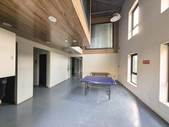 推荐东风艺术区813平精装独院 - 缩略图 8